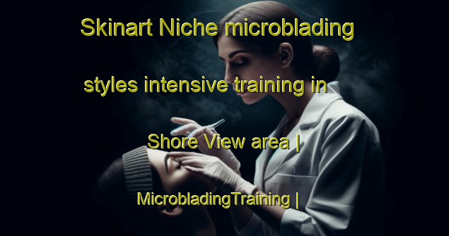 Skinart Niche microblading styles intensive training in Shore View area | MicrobladingTraining | MicrobladingClasses | SkinartTraining-United States